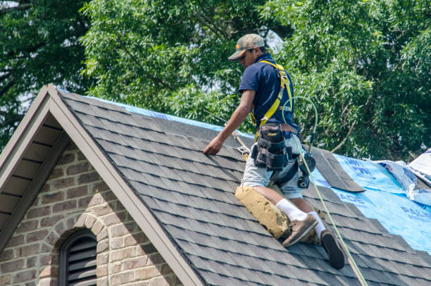 Best Metal Roofing Contractor  in Williamsport, PA